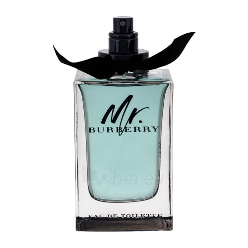 Mr Burberry 100ml EDT